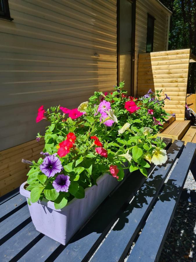 Ballantrae Unique Caravan With Outdoor Space מראה חיצוני תמונה